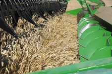Совершенная подача жатки образует основу для высокой производительности. Благодаря активному потоку зерновые в PremiumFlow всегда подаются в молотильный аппарат оптимальным образом.